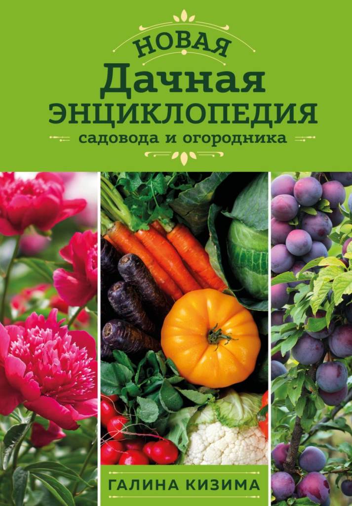 новая дачная энциклопедия.jpg новая дачная энциклопедия.jpg